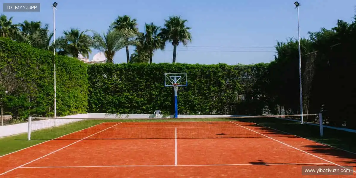 🔥 点燃热血，见证传奇！🏆